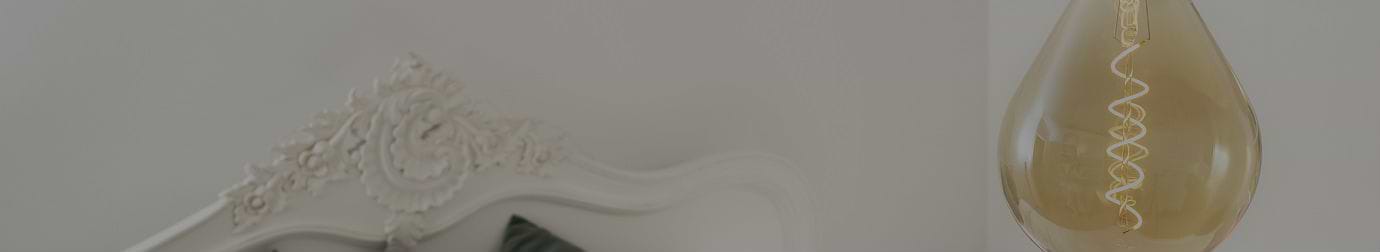 Vintage Edison LED Bulbs