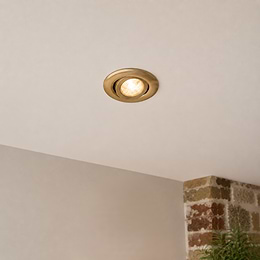 Brass Tilt Downlight