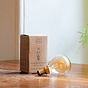 Soho Lighting E14 Vintage Sunset Golfball Dimmable LED Bulb P45, 3W, 1800K, High CRI