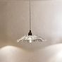 Organic Fleur Glass Pendant Light