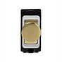 The Savoy Collection Brushed Brass 6A Dummy RM-Grid Dimmer Switch Mod