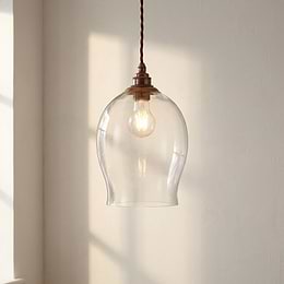  Curved Glass Pendant Light
