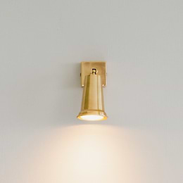 Pimlico Single Spot Light