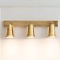 Pimlico Triple Spot Light