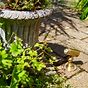 Soho Lighting Chelsea IP68 Solid Brass Traditional Spot Light 12V DC 3000K with 3 Metre Cable