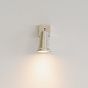 Pimlico Single Spot Light