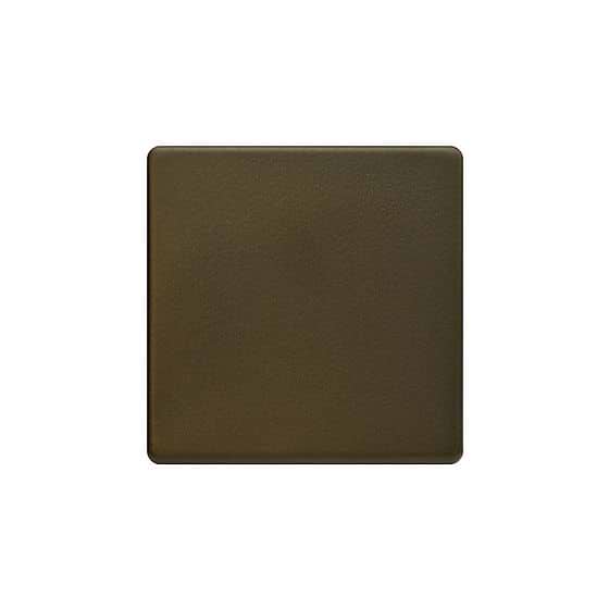 Bronze Blank Plate
