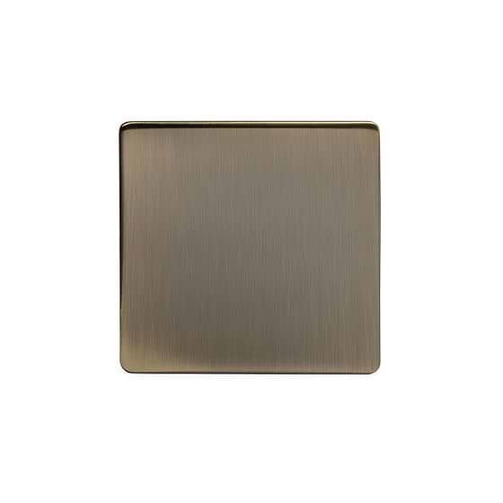 The Charterhouse Collection metal 1 Gang Blanking Plate Screwless Antique Brass