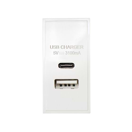 White USB C Euro Module
