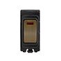 The Charterhouse Collection Antique Brass 20A Double Pole RM-Grid Switch Module with Neon