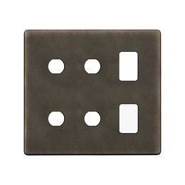 The Westminster Collection Vintage Brass 6 Gang 2RM+4CM Dual Module Grid Switch Plate