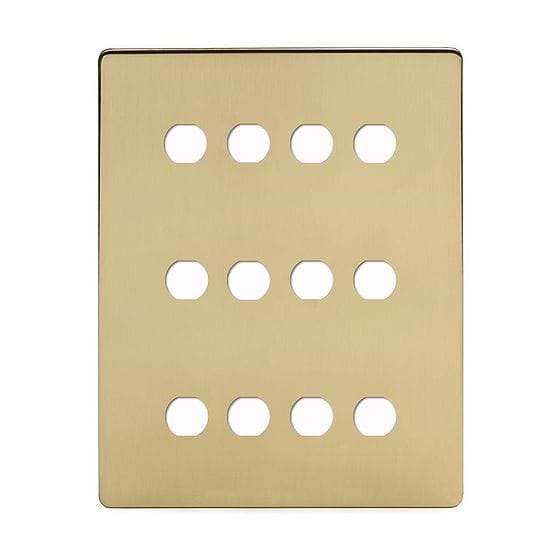 Brushed Brass 12 Gang Grid Plate
