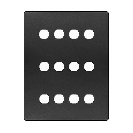 Brass 12 Gang Grid Plate

