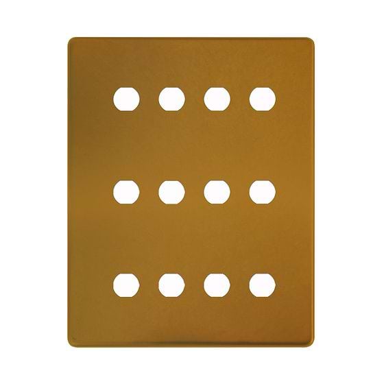 Antique Gold 12 Gang Grid Plate
