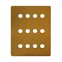 Antique Gold 12 Gang Grid Plate
