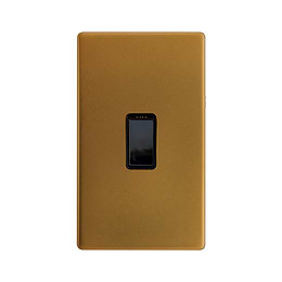 Antique Gold 45A Double Pole Switch Double Plate
