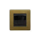 The Belgravia Collection Old Brass 1 Gang 2 Module Brush Plate