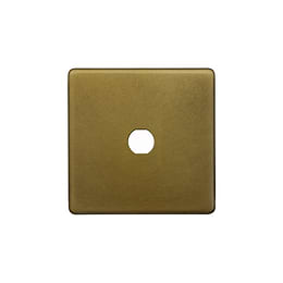 The Belgravia Collection Old Brass 1 Gang LT3 Toggle Plate ONLY
