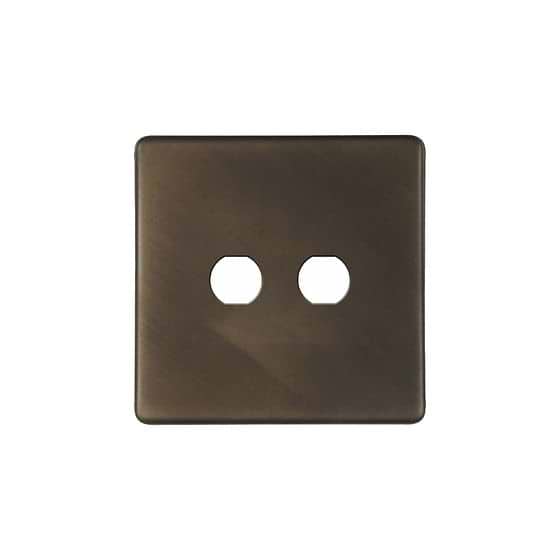 The Westminster Collection Vintage Brass 2 Gang LT3 Toggle Plate ONLY