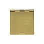The Savoy Collection Brushed Brass White Insert 2 x25mm EM-Euro Module Floor Plate