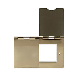 Brushed Brass 2 gang floor socket