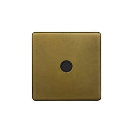 The Belgravia Collection Old Brass 20A Flex Outlet
