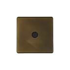 The Westminster Collection Vintage Brass 20A Flex Outlet
