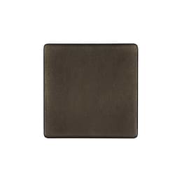 The Westminster Collection Vintage Brass metal Single Blanking Plate