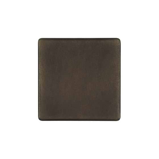 The Westminster Collection Vintage Brass metal Single Blanking Plate