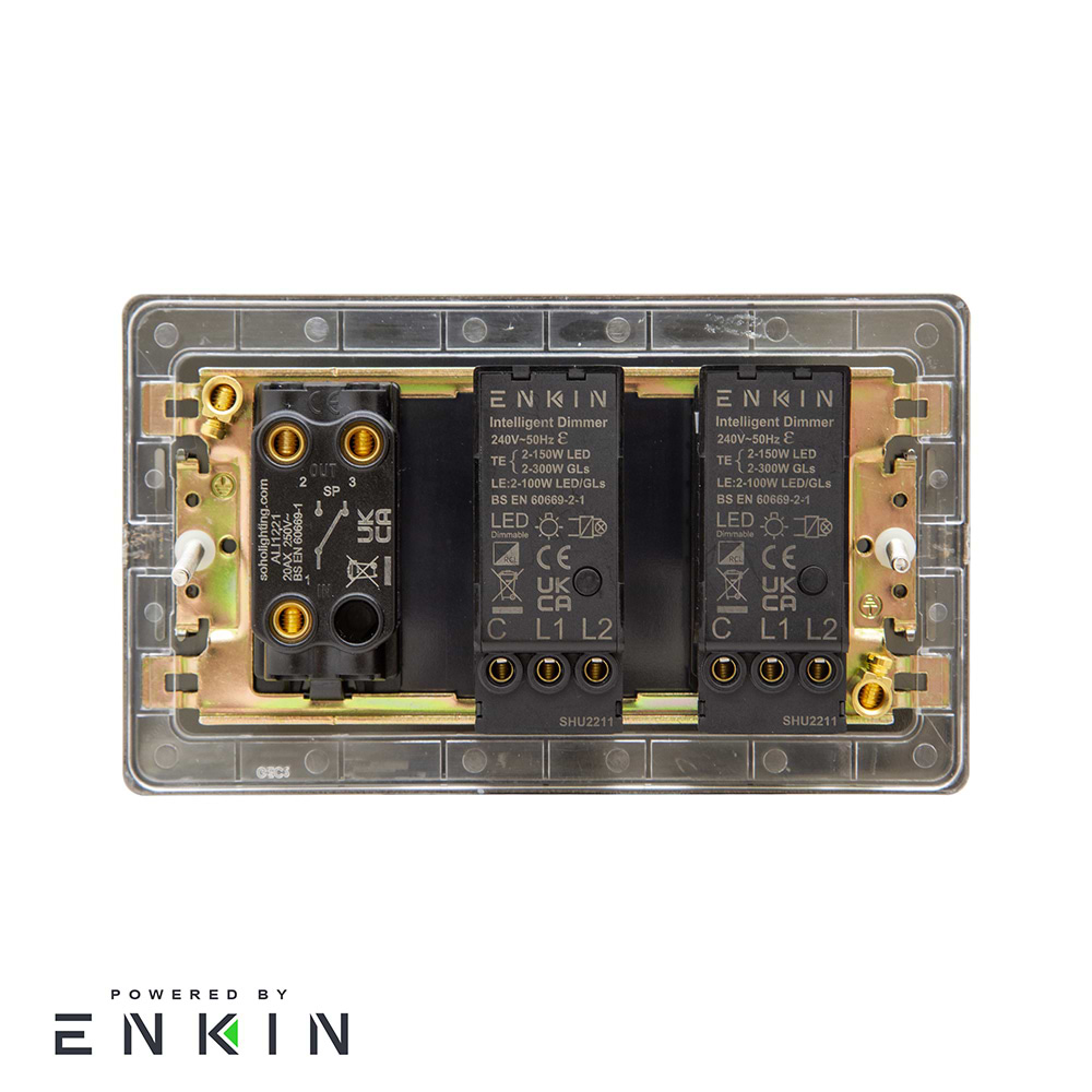 2 gang led dimmer outlet