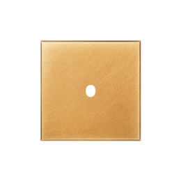 Natural Brass 1 Gang TM Rectangular Module Grid Switch Plate - The Palaces Collection