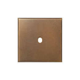 Aged Brass 1 Gang TM Rectangular Module Grid Switch Plate - The Palaces Collection