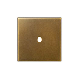 Aged Brass 1 Gang TM Module Grid Switch Plate - The Palaces Collection