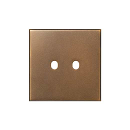 Aged Brass 2 Gang TM Rectangular Module Grid Switch Plate - The Palaces Collection