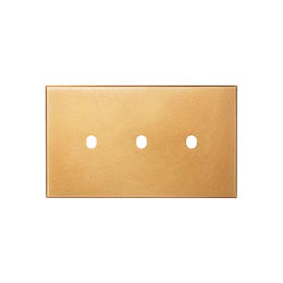Natural Brass 3 Gang TM Rectangular Module Grid Switch Plate - The Palaces Collection