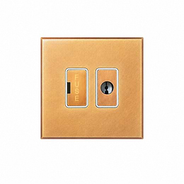 Natural Brass 13A Double Pole Unswitched Fused Spur Flex Outlet with White Insert - The Palaces Collection