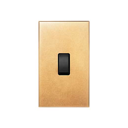Natural Brass 1 Gang 45A Double Pole Switch - Large with Black Insert  - The Palaces Collection