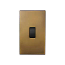 Aged Brass 1 Gang 45A Double Pole Switch - Large with Black Insert  - The Palaces Collection