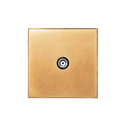 Natural Brass 1 Gang Coaxial TV Aerial Socket with Black Insert  - The Palaces Collection