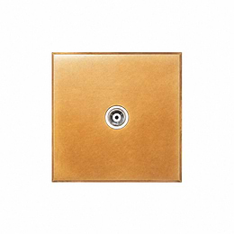 Natural Brass 1 Gang Coaxial TV Aerial Socket with White Insert - The Palaces Collection
