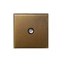 Aged Brass 1 Gang Coaxial TV Aerial Socket with Black Insert  - The Palaces Collection