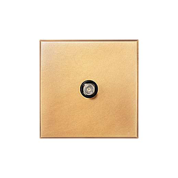 Natural Brass 1 Gang Satellite Socket with Black Insert  - The Palaces Collection