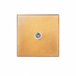 Natural Brass 1 Gang Satellite Socket with White Insert - The Palaces Collection