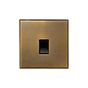 Aged Brass 1 Gang CAT5/CAT6 RJ45 Ethernet Data Socket with Black Insert  - The Palaces Collection