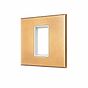 Natural Brass 1 x25mm EM Euro Module Wall Plate with White Insert - The Palaces Collection