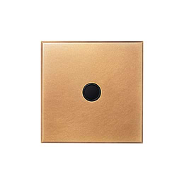 Natural Brass 20A Flex Outlet with Black Insert  - The Palaces Collection