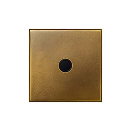 Aged Brass 20A Flex Outlet with Black Insert  - The Palaces Collection