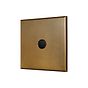 Aged Brass 20A Flex Outlet with Black Insert  - The Palaces Collection