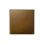 Aged Brass Single Blank Plate - The Palaces Collection