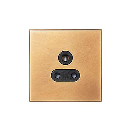 Natural Brass 5A Unswitched Socket with Black Insert  - The Palaces Collection